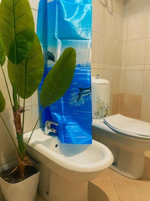 City Central Amazona Appartment Tirana Zewnętrze zdjęcie